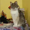 Отзыв от Ева Волошина